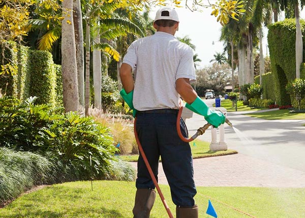About Essex CT Pest Control